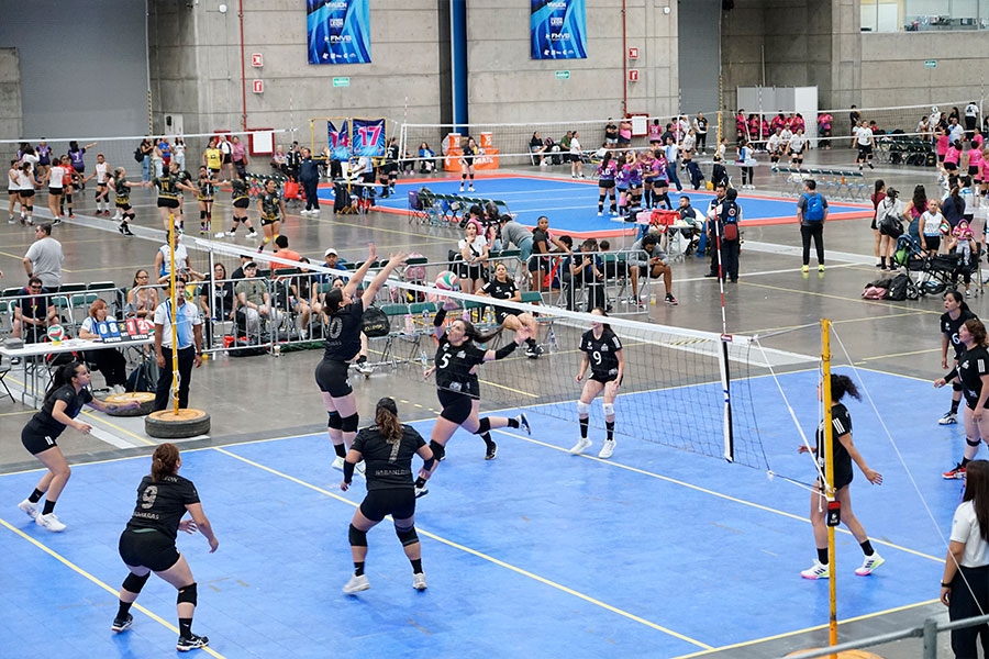 Festival Nacional Máster de Voleibol León 2025: un pleno de intensidad y logros del 27 de julio al 2 de agosto