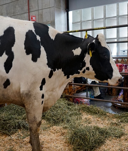 Expo Lac del Bajío reunió al sector lácteo en Poliforum León