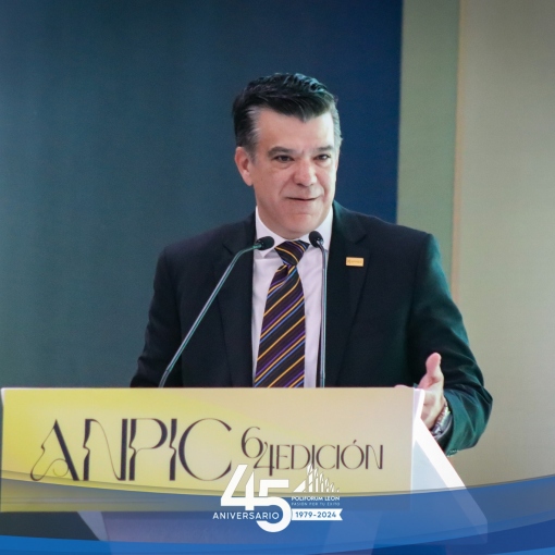 Anpic 2024: Innovación y Tradición en la Proveeduría del Calzado